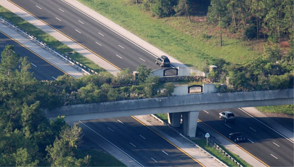 The Marjorie Harris Carr Cross Florida Greenway