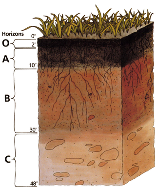 How to Assess Your Home's Structural Integrity Soil profile