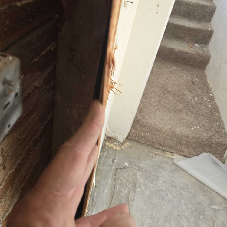 From Water Damage to Full Foundation Rebuild: A 30×30 Basement Transformation Before 5