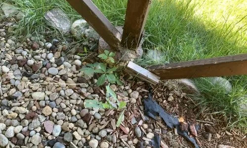 Structural Engineer Home Inspection deck common issues