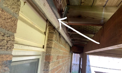 deck inspection